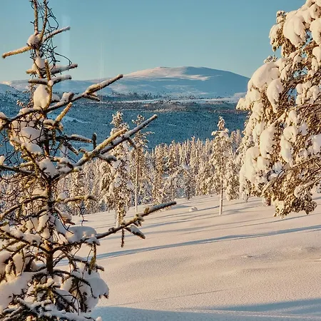 بيت للعطل Experience Mountain Magic At Bringsfjellet *