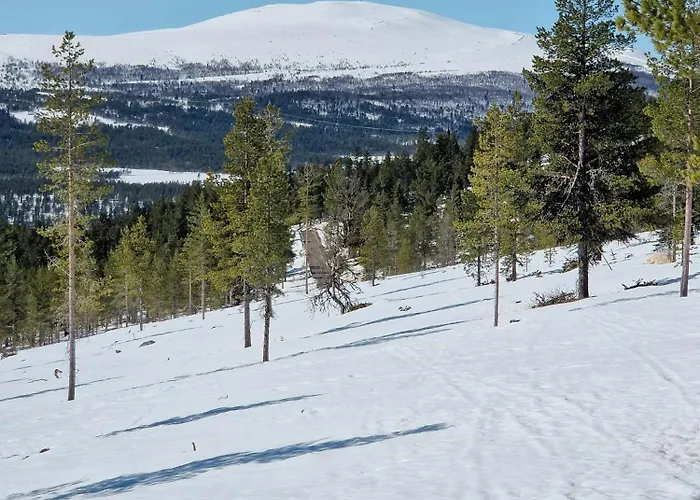Experience Mountain Magic At Bringsfjellet *