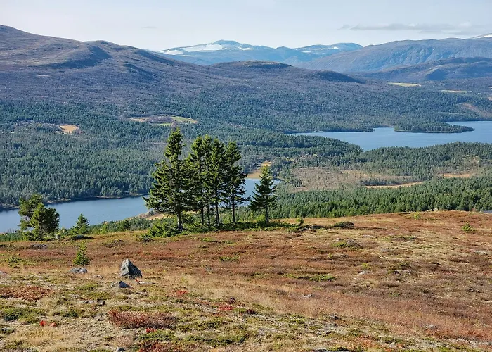 Experience Mountain Magic At Bringsfjellet Lalm