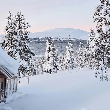 Experience Mountain Magic At Bringsfjellet *