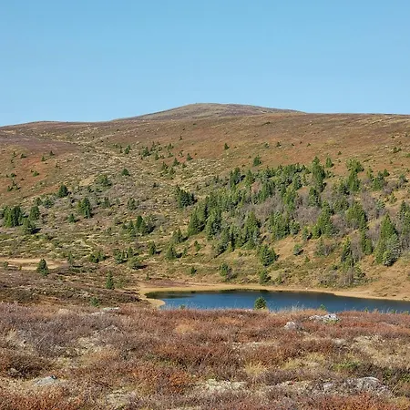 Experience Mountain Magic At Bringsfjellet Prázdninový dům Lalm