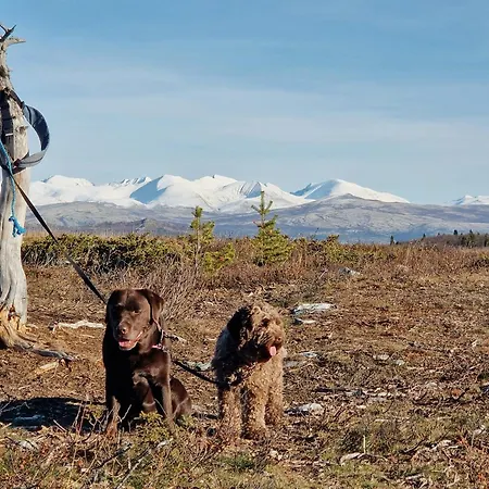 Prázdninový dům Experience Mountain Magic At Bringsfjellet Lalm