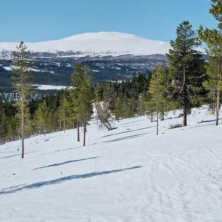 Experience Mountain Magic At Bringsfjellet *