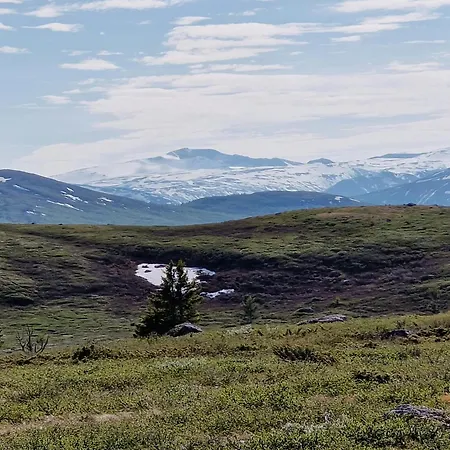 Experience Mountain Magic At Bringsfjellet 別荘