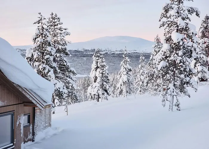 Experience Mountain Magic At Bringsfjellet *