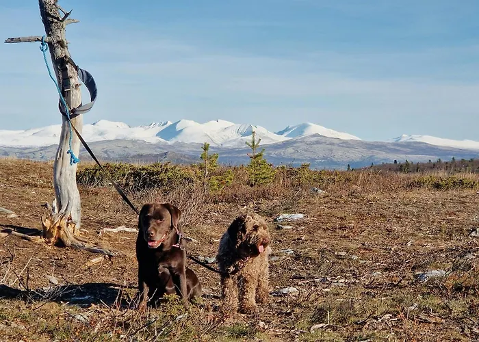 別荘 Experience Mountain Magic At Bringsfjellet Lalm